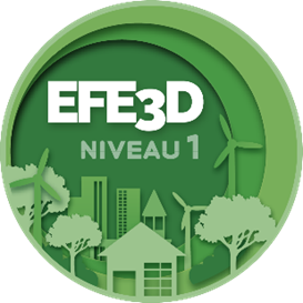 Certificación internacional: “EFE3D”